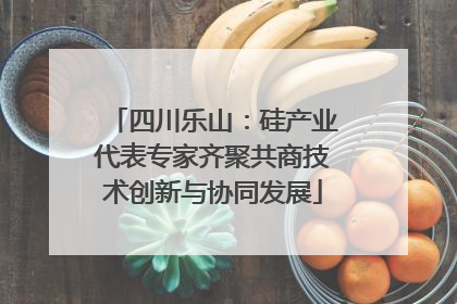 四川乐山：硅产业代表专家齐聚共商技术创新与协同发展