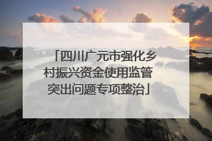 四川广元市强化乡村振兴资金使用监管突出问题专项整治