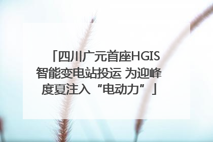 四川广元首座HGIS智能变电站投运 为迎峰度夏注入“电动力”