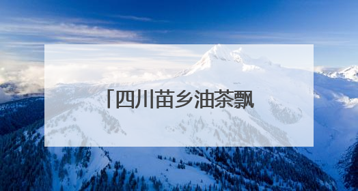 四川苗乡油茶飘香 民族类资金助力乡村振兴
