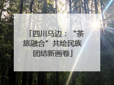四川马边：“茶旅融合”共绘民族团结新画卷