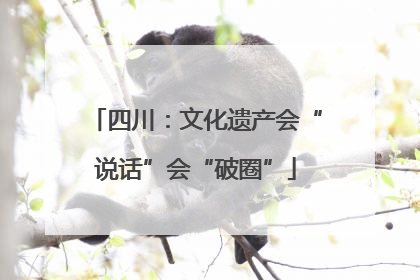 四川：文化遗产会“说话”会“破圈”