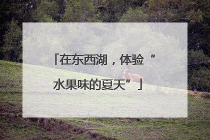 在东西湖，体验“水果味的夏天”