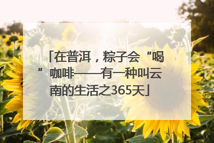 在普洱，粽子会“喝”咖啡——有一种叫云南的生活之365天