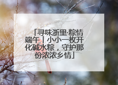 寻味浙里·粽情端午丨小小一枚开化碱水粽，守护那份浓浓乡情