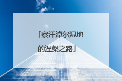 察汗淖尔湿地的涅槃之路
