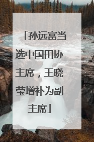 孙远富当选中国田协主席，王晓莹增补为副主席