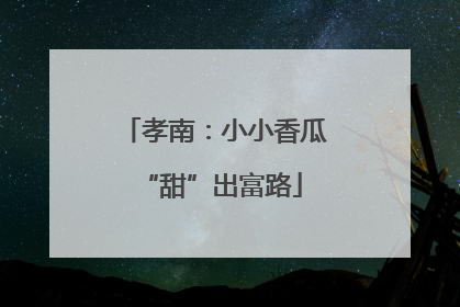 孝南：小小香瓜 “甜”出富路