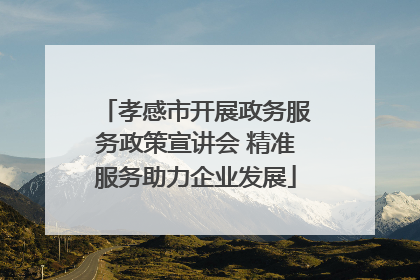 孝感市开展政务服务政策宣讲会 精准服务助力企业发展