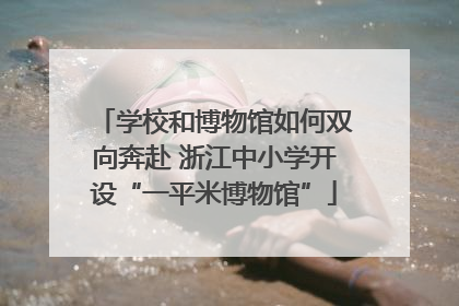 学校和博物馆如何双向奔赴 浙江中小学开设“一平米博物馆”