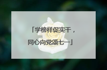 学榜样促实干，同心向党颂七一