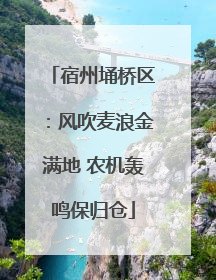 宿州埇桥区：风吹麦浪金满地 农机轰鸣保归仓