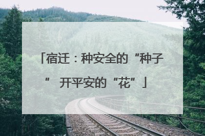 宿迁：种安全的“种子” 开平安的“花”