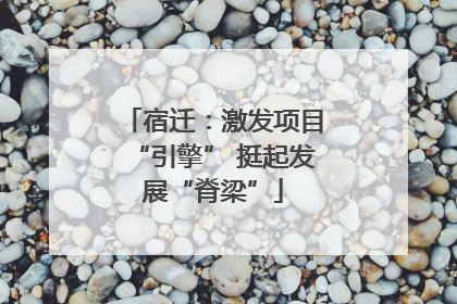 宿迁：激发项目“引擎” 挺起发展“脊梁”