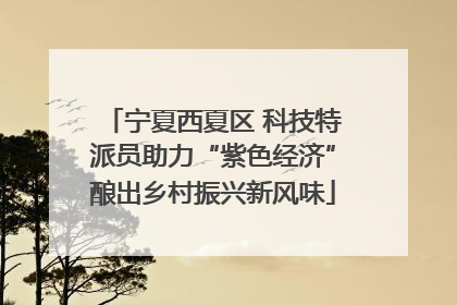宁夏西夏区 科技特派员助力“紫色经济”酿出乡村振兴新风味