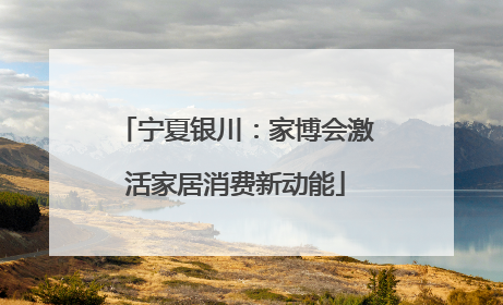 宁夏银川：家博会激活家居消费新动能