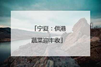宁夏：供港蔬菜迎丰收
