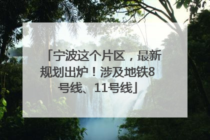 宁波这个片区，最新规划出炉！涉及地铁8号线、11号线