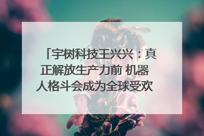 宇树科技王兴兴：真正解放生产力前 机器人格斗会成为全球受欢迎的赛事｜科技观察