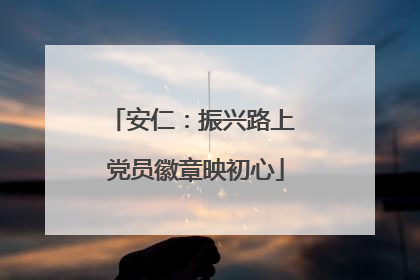 安仁：振兴路上 党员徽章映初心