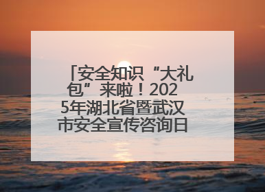 安全知识“大礼包”来啦！2025年湖北省暨武汉市安全宣传咨询日活动在汉举行