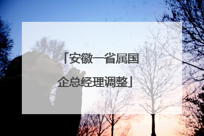 安徽一省属国企总经理调整