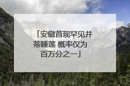安徽首现罕见并蒂睡莲 概率仅为百万分之一