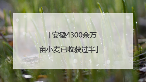 安徽4300余万亩小麦已收获过半