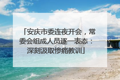 安庆市委连夜开会，常委会组成人员逐一表态：深刻汲取惨痛教训
