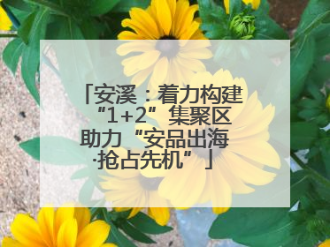 安溪：着力构建“1+2”集聚区 助力“安品出海·抢占先机”
