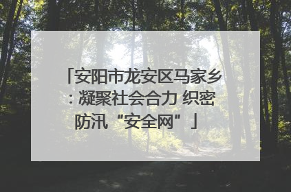 安阳市龙安区马家乡：凝聚社会合力 织密防汛“安全网”