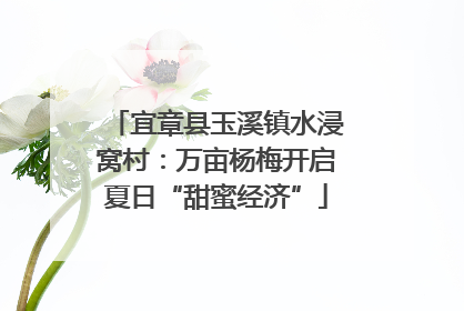 宜章县玉溪镇水浸窝村：万亩杨梅开启夏日“甜蜜经济”