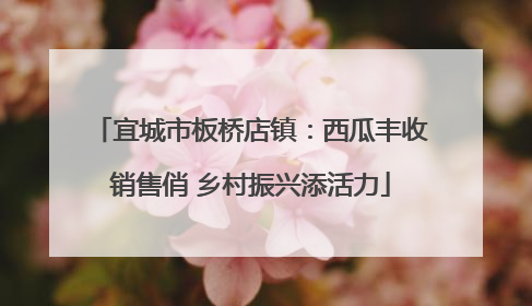宜城市板桥店镇：西瓜丰收销售俏 乡村振兴添活力