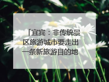 宜宾：非传统景区旅游城市要走出一条新旅游目的地新路子｜话锦绣·说安逸