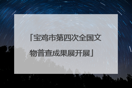 宝鸡市第四次全国文物普查成果展开展