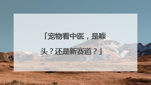 宠物看中医，是噱头？还是新赛道？