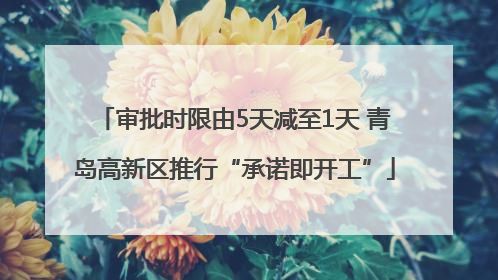 审批时限由5天减至1天 青岛高新区推行“承诺即开工”