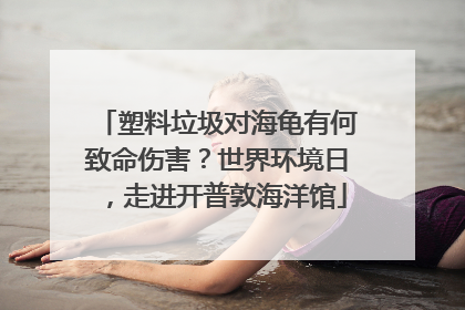 塑料垃圾对海龟有何致命伤害？世界环境日，走进开普敦海洋馆