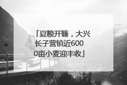 夏粮开镰，大兴长子营镇近6000亩小麦迎丰收