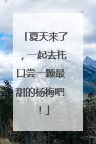 夏天来了，一起去托口尝一颗最甜的杨梅吧！