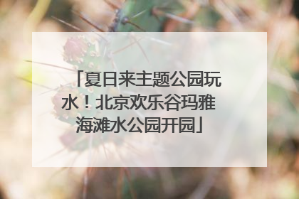 夏日来主题公园玩水！北京欢乐谷玛雅海滩水公园开园