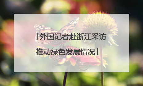 外国记者赴浙江采访推动绿色发展情况
