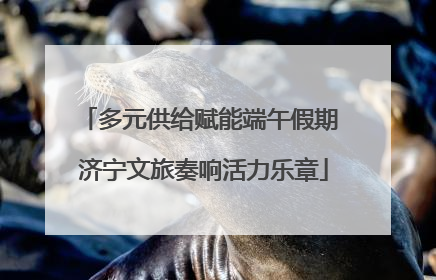多元供给赋能端午假期 济宁文旅奏响活力乐章