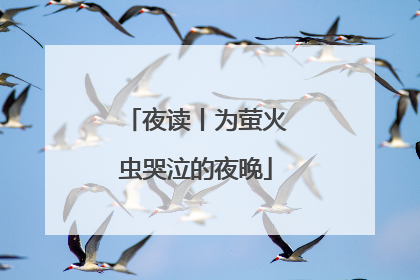 夜读丨为萤火虫哭泣的夜晚
