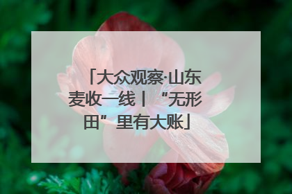大众观察·山东麦收一线丨“无形田”里有大账