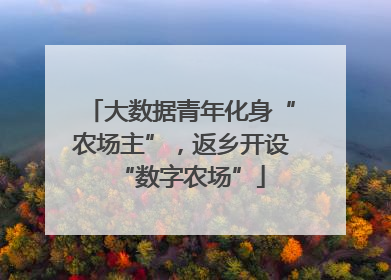 大数据青年化身“农场主”，返乡开设“数字农场”