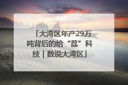 大湾区年产29万吨背后的给“荔”科技｜数说大湾区