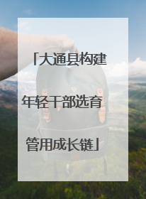 大通县构建年轻干部选育管用成长链