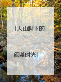 天山脚下的闽茶时光