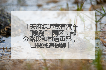 天府绿道竟有汽车“敞跑” 园区：部分路段和村道重叠，已做减速提醒
